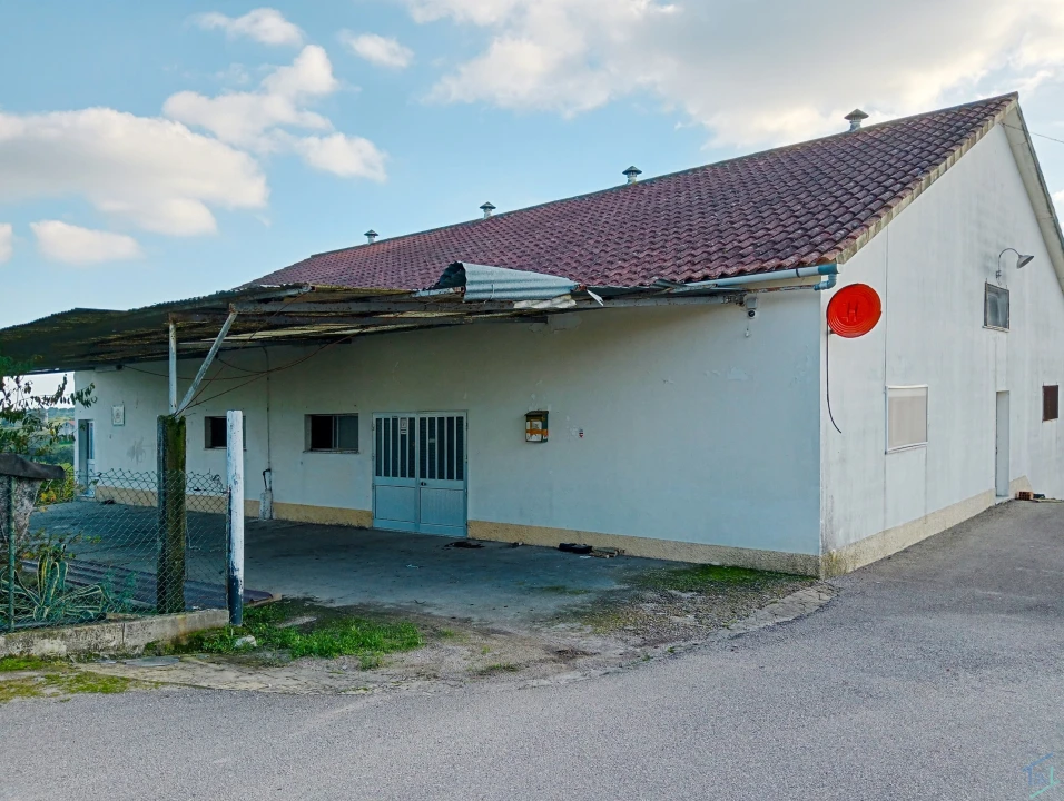 Negócio para Venda em Madalena e Beselga Foto 3