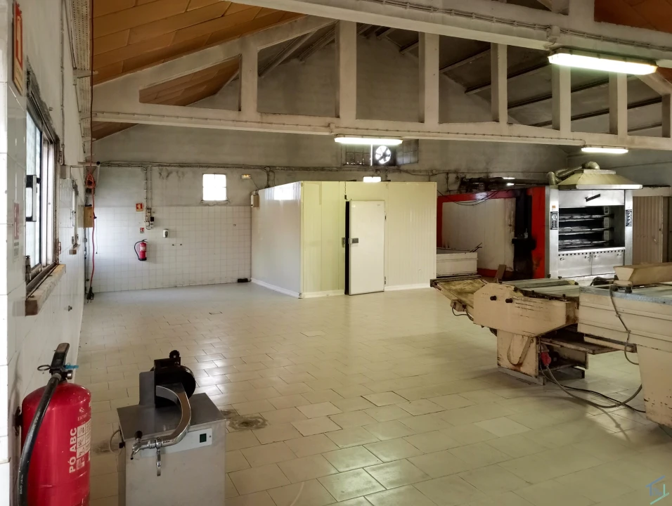 Negócio para Venda em Madalena e Beselga Foto 23