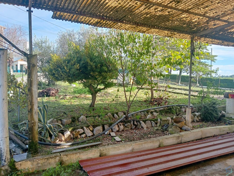 Negócio para Venda em Madalena e Beselga Foto 4