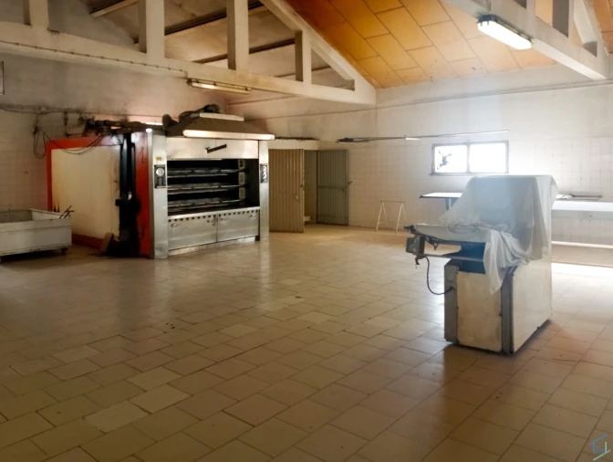 Negócio para Venda em Madalena e Beselga Foto 20