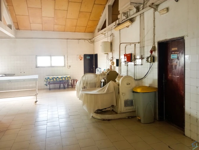 Negócio para Venda em Madalena e Beselga Foto 21