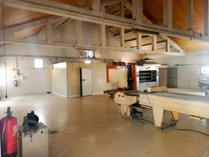 Negócio para Venda em Madalena e Beselga Foto 14