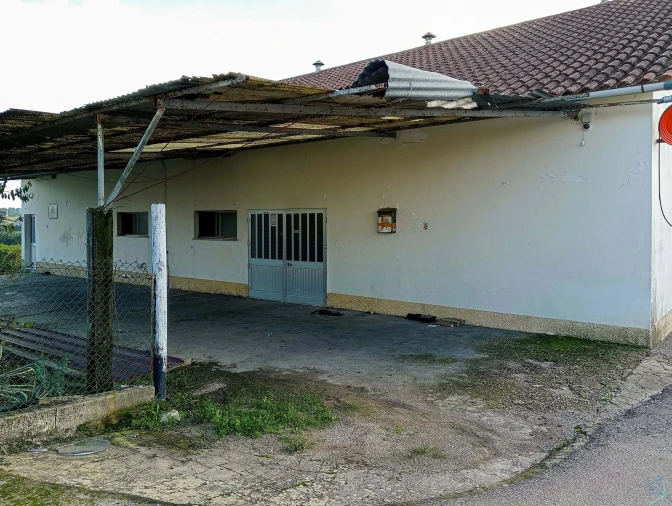 Negócio para Venda em Madalena e Beselga Foto 24