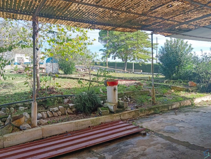 Negócio para Venda em Madalena e Beselga Foto 5