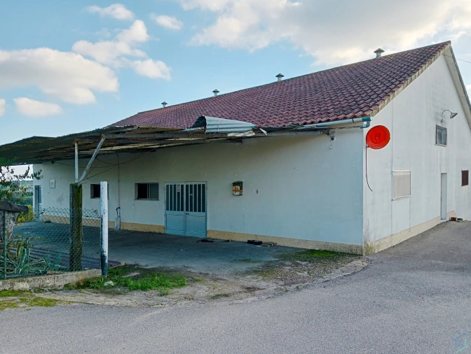 Negócio para Venda em Madalena e Beselga Foto 3