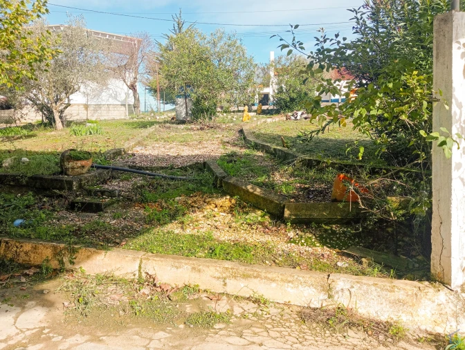 Negócio para Venda em Madalena e Beselga Foto 6