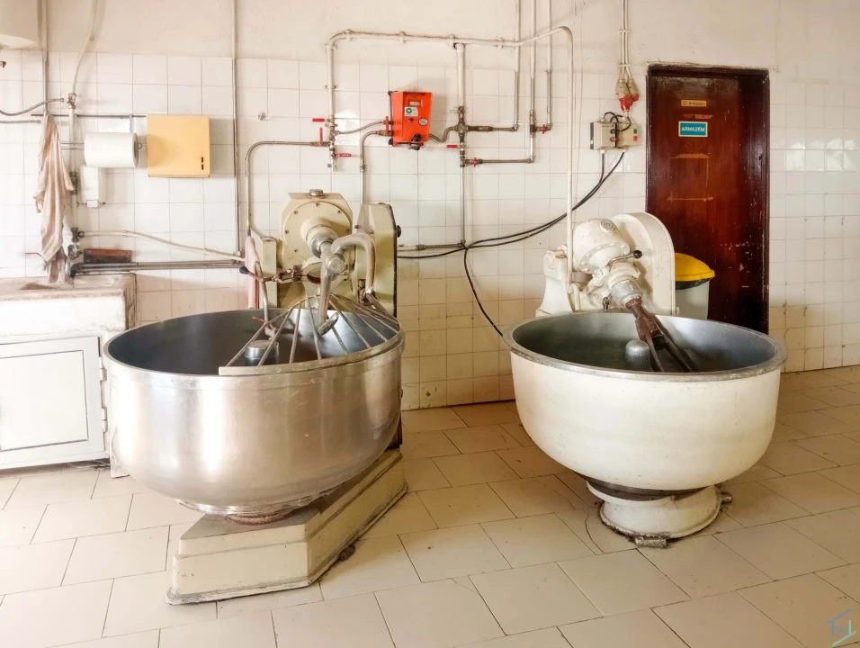 Negócio para Venda em Madalena e Beselga Foto 1