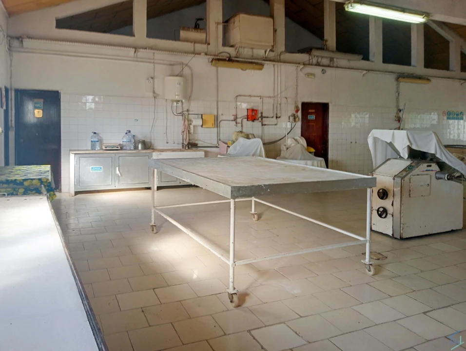 Negócio para Venda em Madalena e Beselga Foto 17