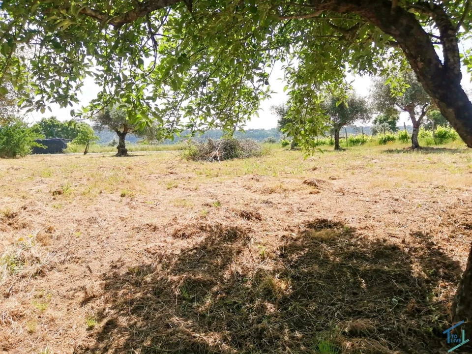 Terreno Agricola ou Rústico para Venda em São Pedro de Tomar Foto 9