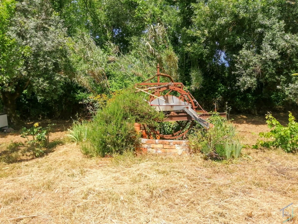 Terreno Agricola ou Rústico para Venda em São Pedro de Tomar Foto 3