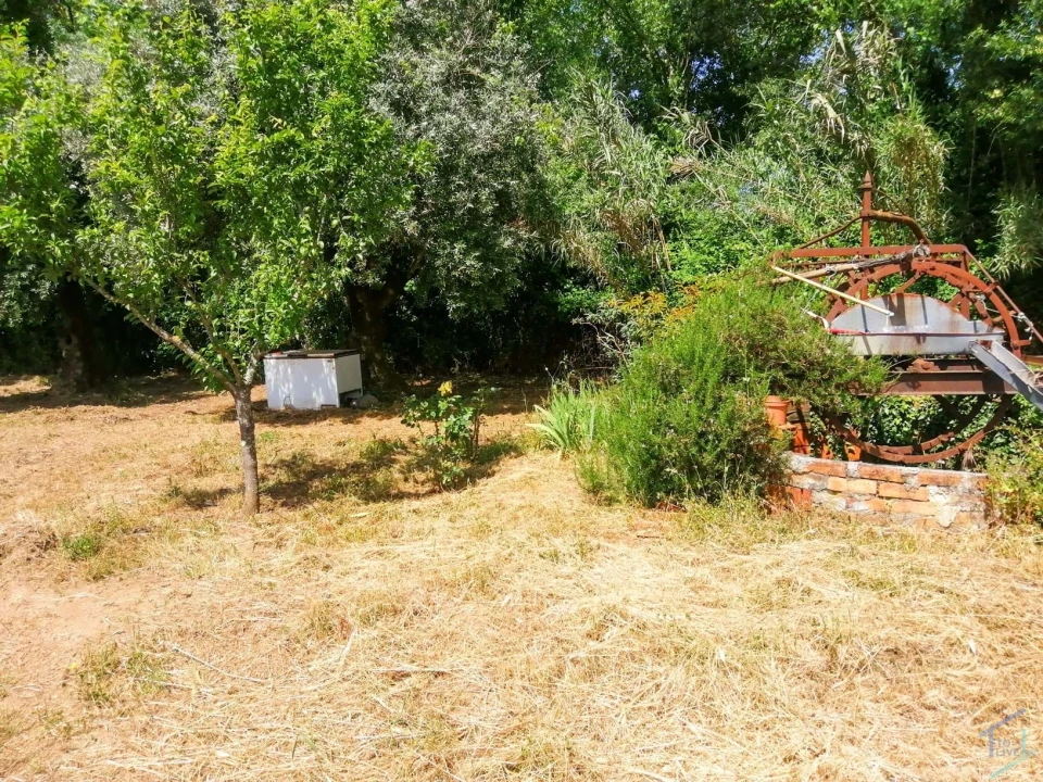 Terreno Agricola ou Rústico para Venda em São Pedro de Tomar Foto 15