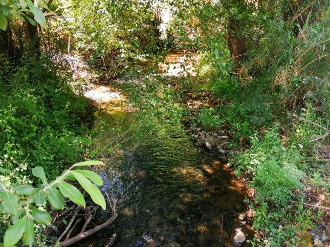 Terreno Agricola ou Rústico para Venda em São Pedro de Tomar Foto 6
