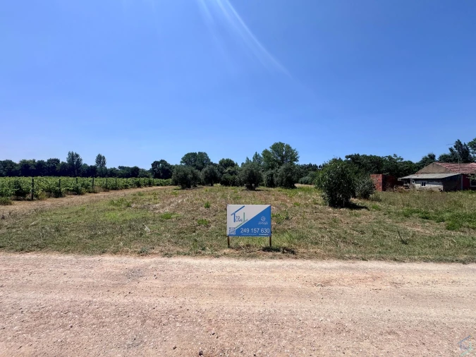Terreno Agricola ou Rústico para Venda em São Pedro de Tomar Foto 2