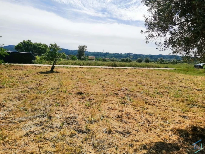 Terreno Agricola ou Rústico para Venda em São Pedro de Tomar Foto 17
