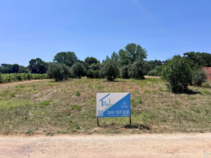 Terreno Agricola ou Rústico para Venda em São Pedro de Tomar Foto 1