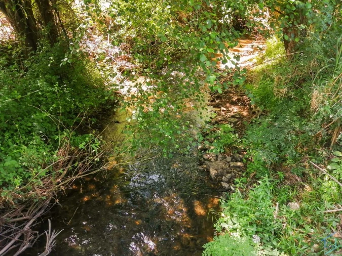 Terreno Agricola ou Rústico para Venda em São Pedro de Tomar Foto 10