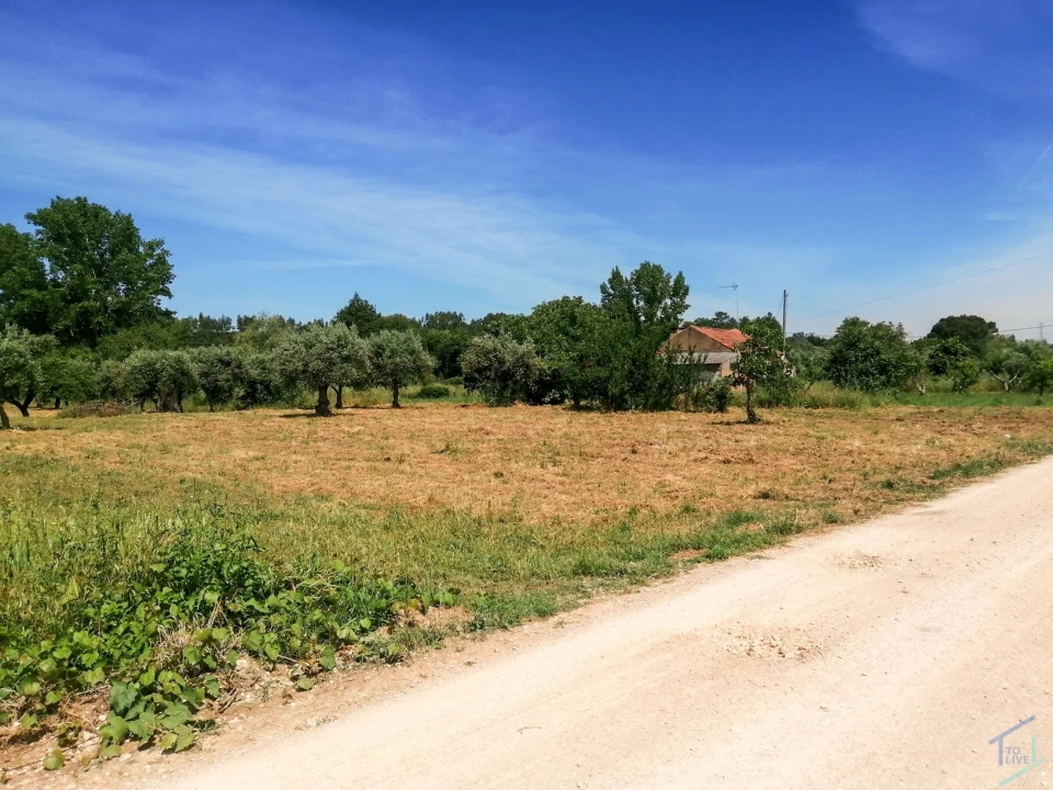 Terreno Agricola ou Rústico para Venda em São Pedro de Tomar Foto 19