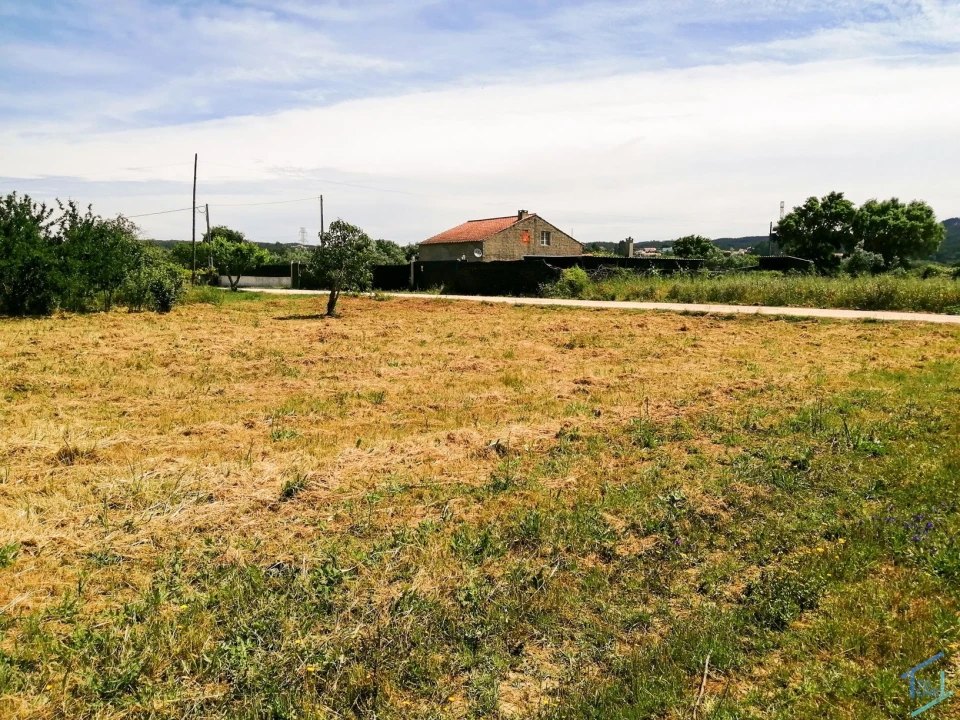 Terreno Agricola ou Rústico para Venda em São Pedro de Tomar Foto 5