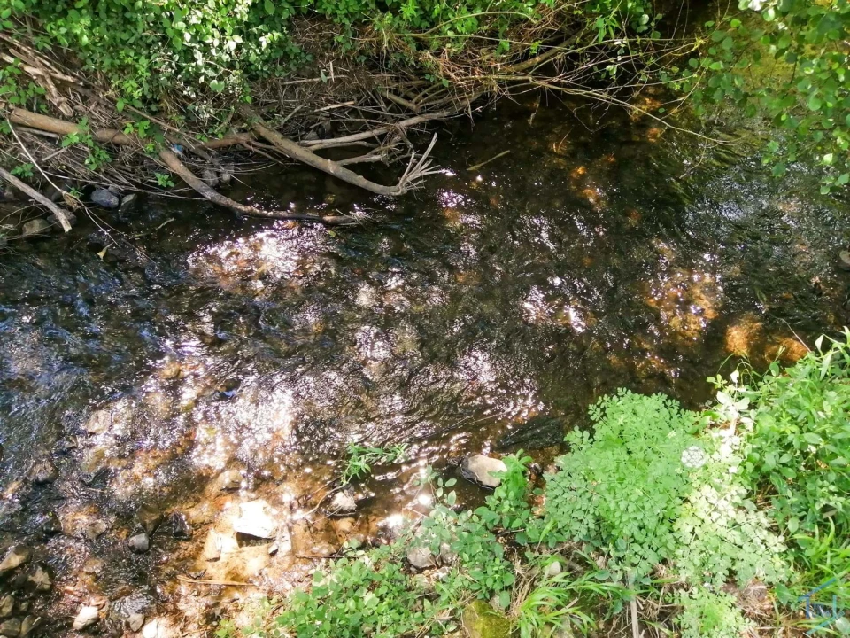 Terreno Agricola ou Rústico para Venda em São Pedro de Tomar Foto 8
