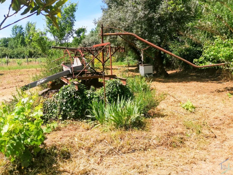 Terreno Agricola ou Rústico para Venda em São Pedro de Tomar Foto 12