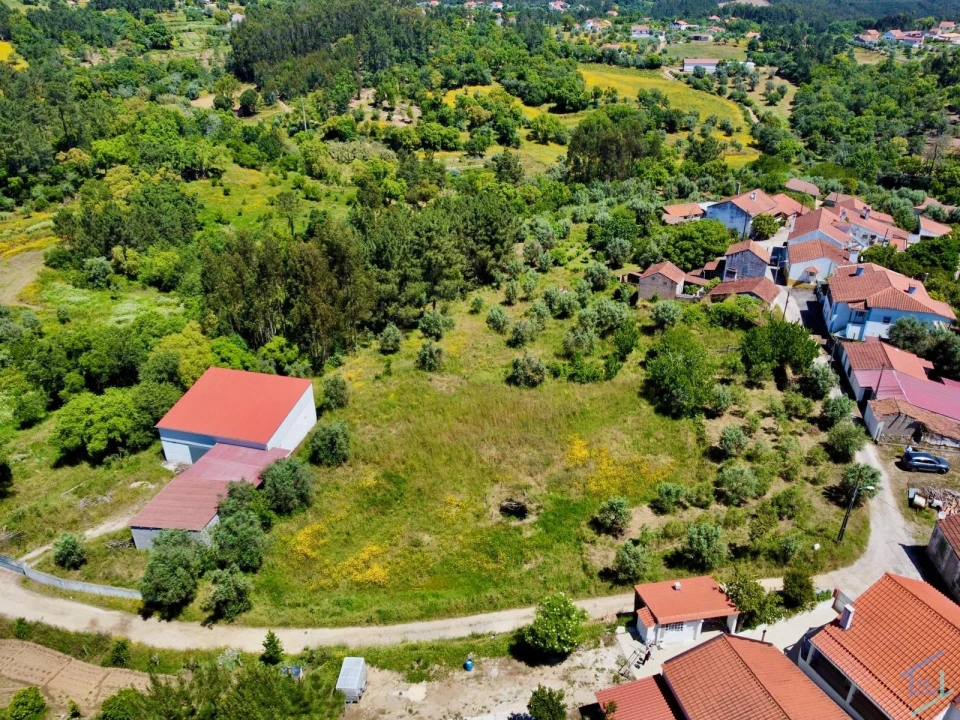 Terreno para Venda em São Pedro de Tomar Foto 11