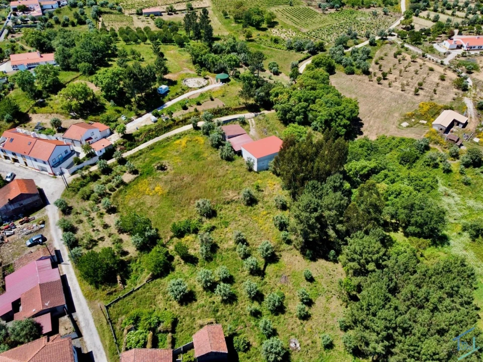 Terreno para Venda em São Pedro de Tomar Foto 14