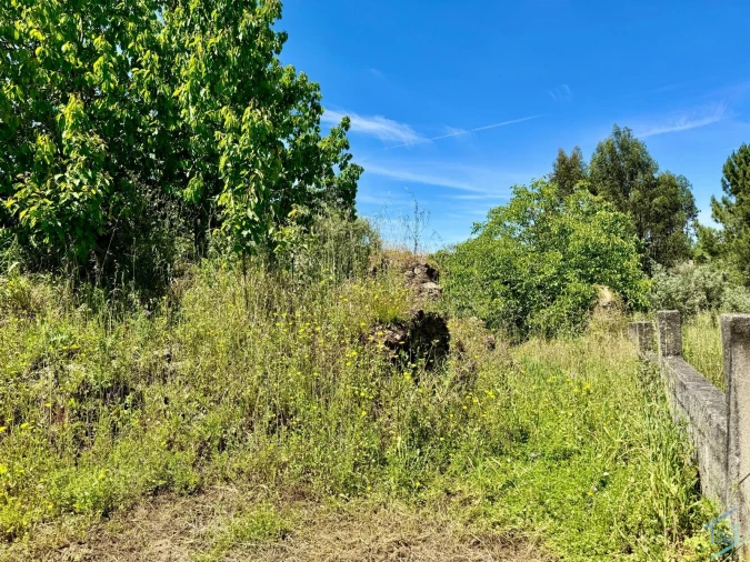 Terreno para Venda em São Pedro de Tomar Foto 21