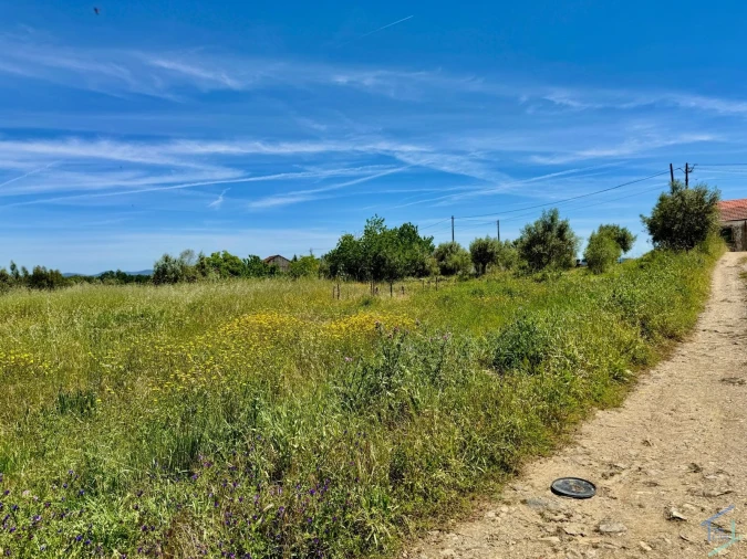 Terreno para Venda em São Pedro de Tomar Foto 20