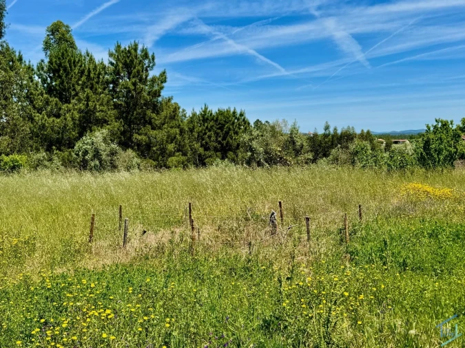 Terreno para Venda em São Pedro de Tomar Foto 19