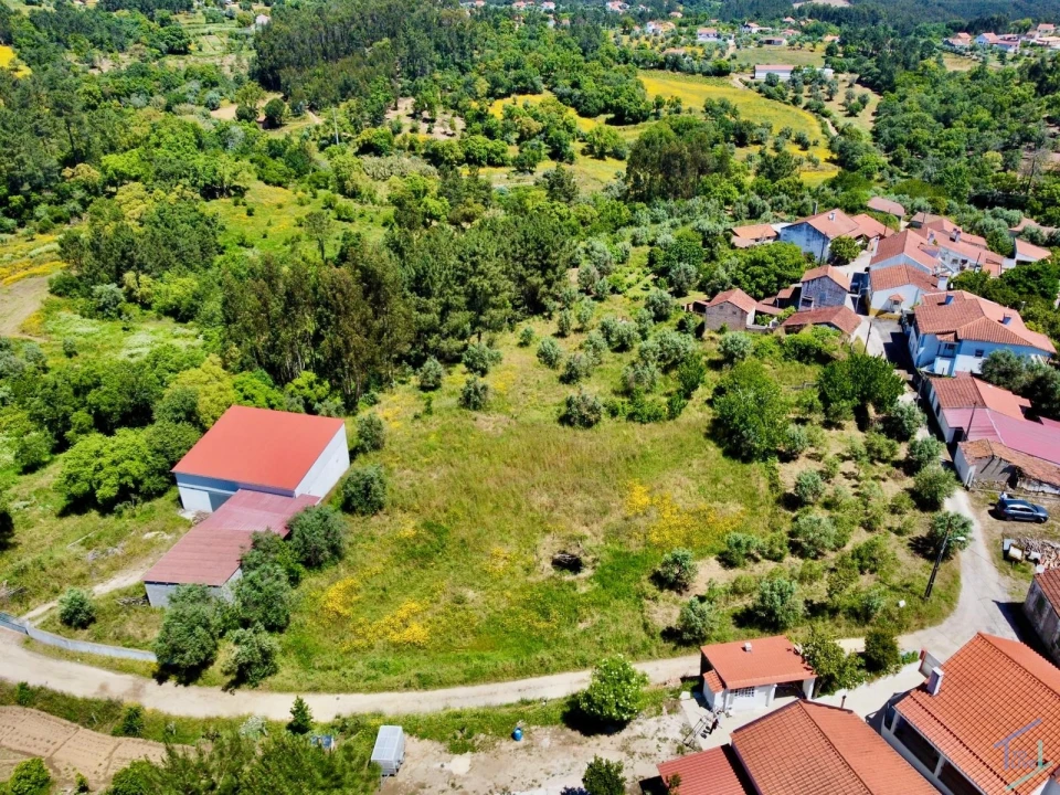 Terreno para Venda em São Pedro de Tomar Foto 8