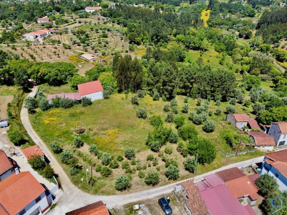 Terreno para Venda em São Pedro de Tomar Foto 13