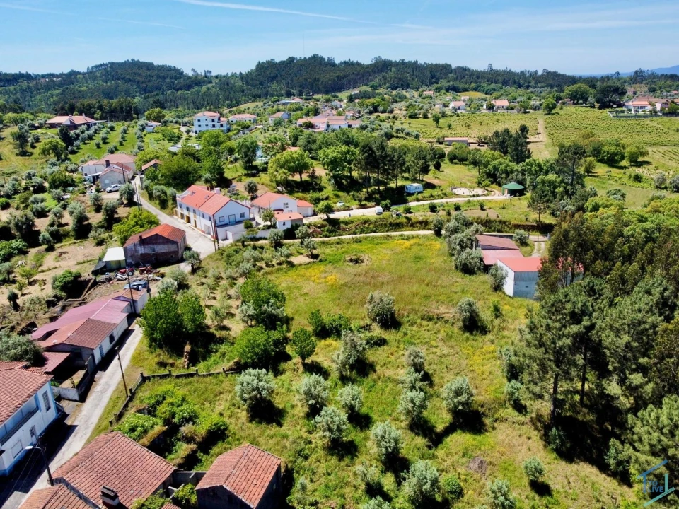 Terreno para Venda em São Pedro de Tomar Foto 15
