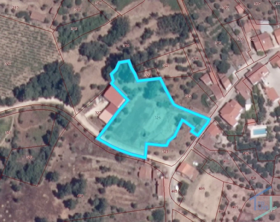 Terreno para Venda em São Pedro de Tomar Foto 2