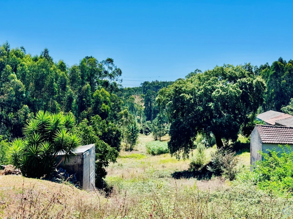 Terreno Agricola ou Rústico para Venda em Asseiceira Foto 11