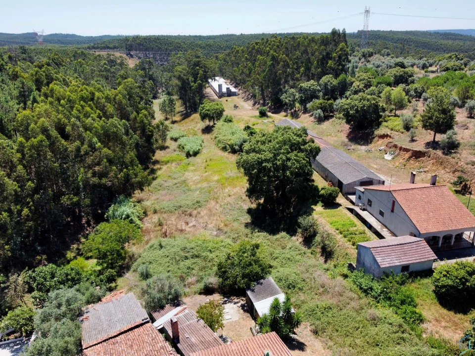 Terreno Agricola ou Rústico para Venda em Asseiceira Foto 8