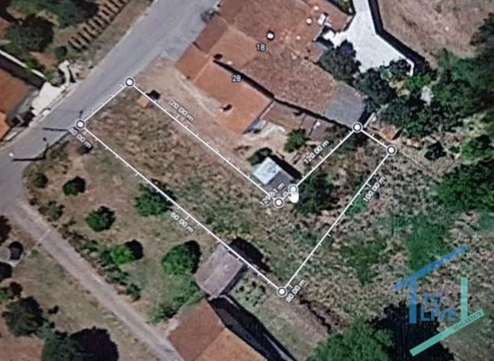 Terreno Agricola ou Rústico para Venda em Asseiceira Foto 15