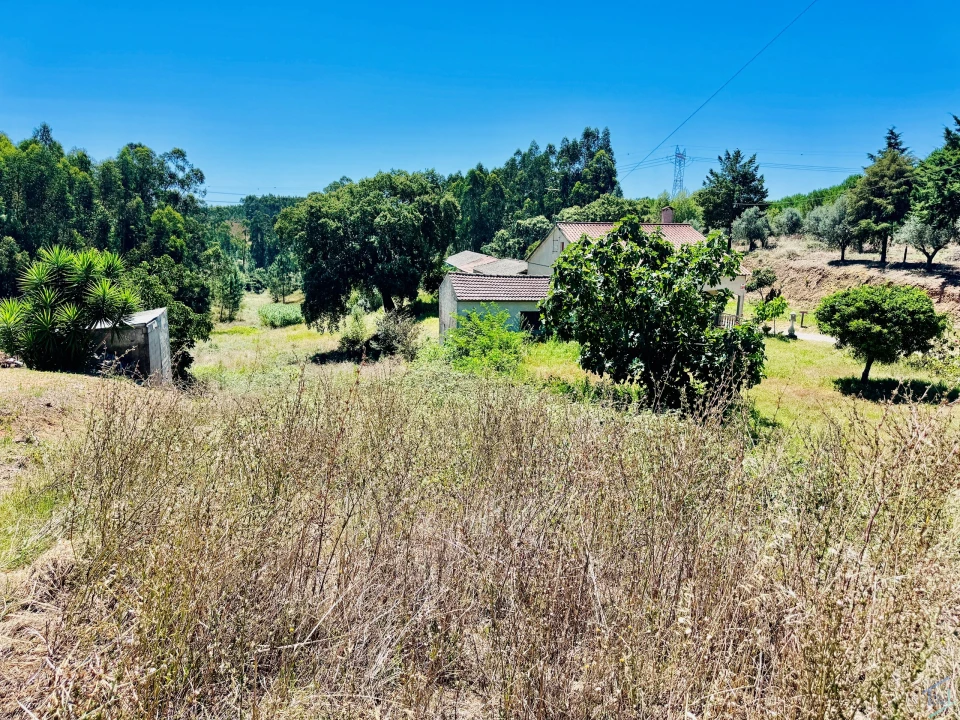 Terreno Agricola ou Rústico para Venda em Asseiceira Foto 5