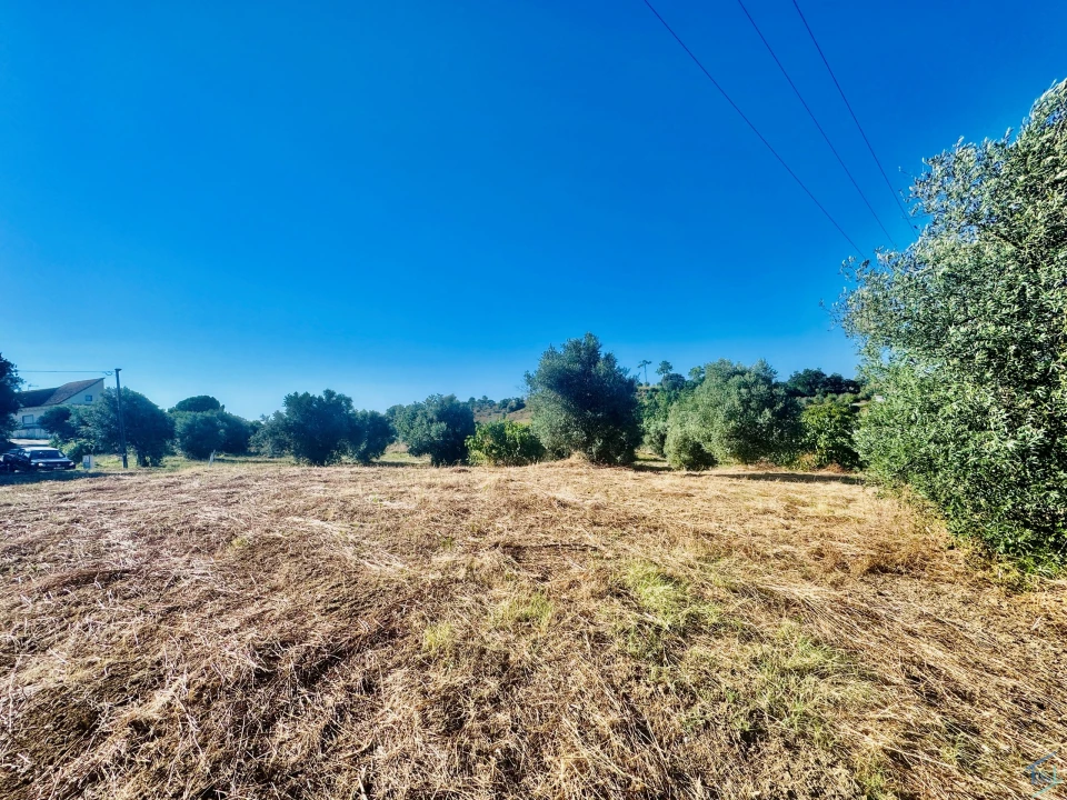 Terreno Agricola ou Rústico para Venda em Paialvo Foto 18