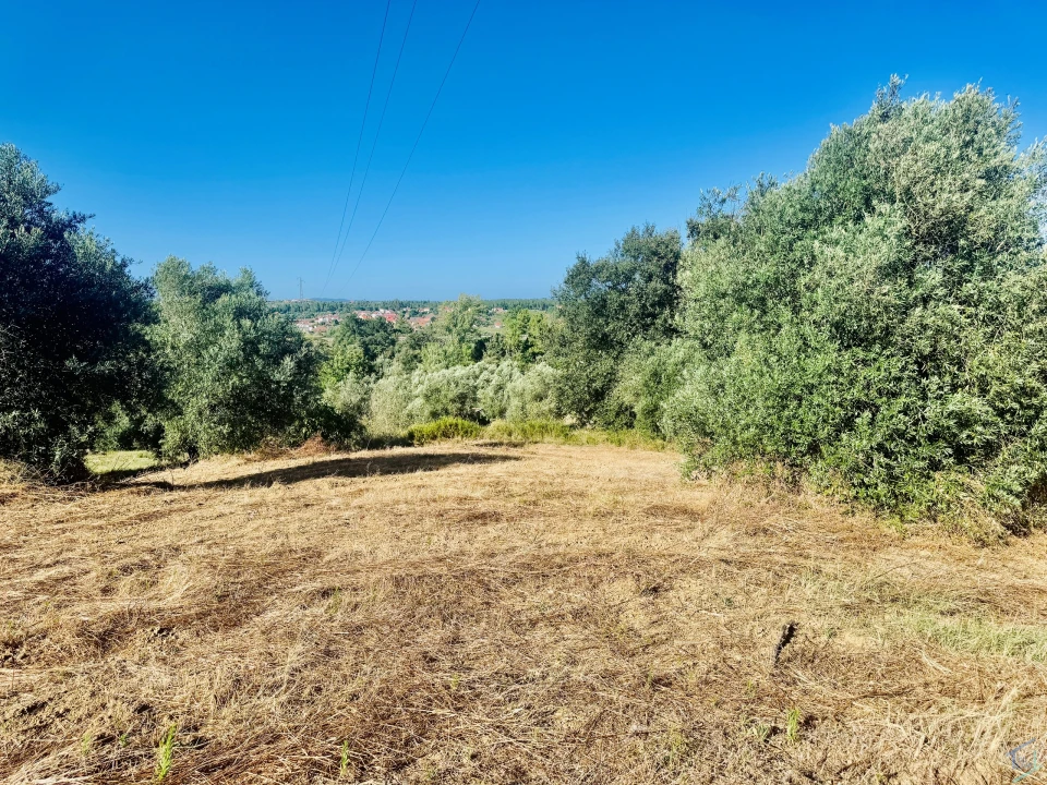 Terreno Agricola ou Rústico para Venda em Paialvo Foto 22