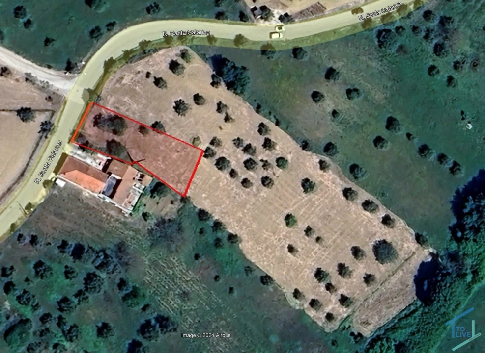 Terreno Agricola ou Rústico para Venda em Paialvo Foto 1