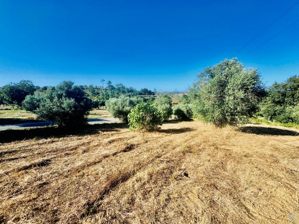 Terreno Agricola ou Rústico para Venda em Paialvo Foto 19