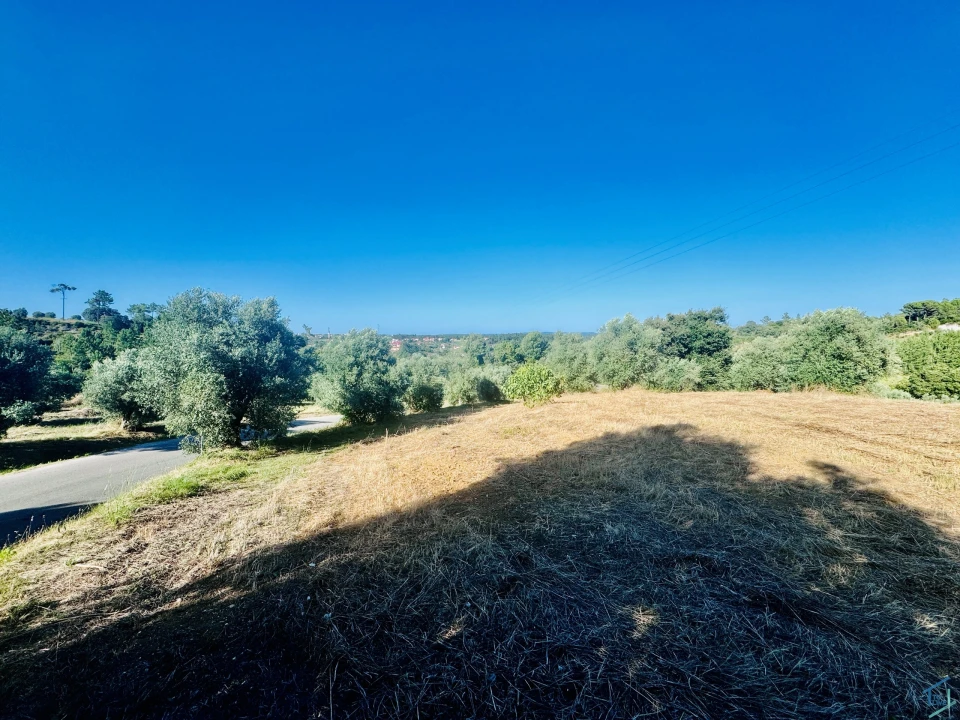 Terreno Agricola ou Rústico para Venda em Paialvo Foto 6