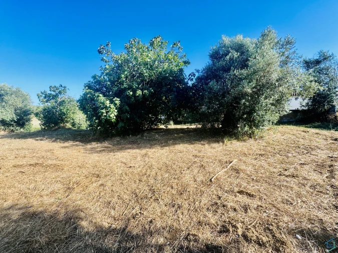 Terreno Agricola ou Rústico para Venda em Paialvo Foto 7