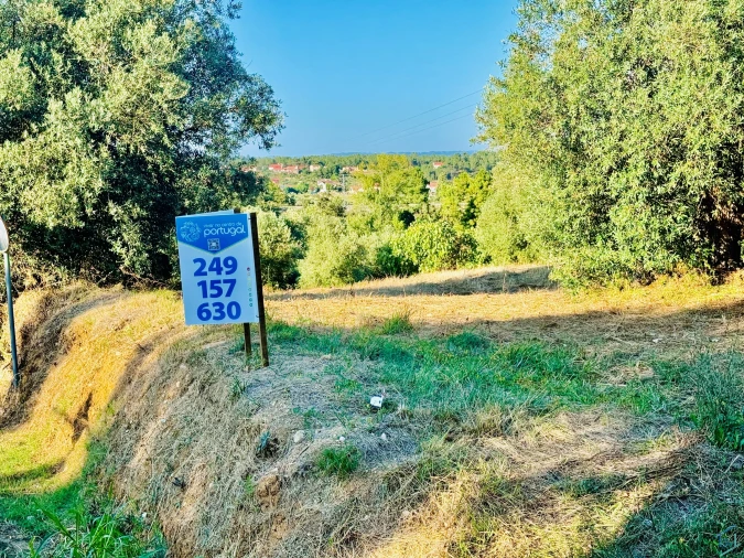 Terreno Agricola ou Rústico para Venda em Paialvo Foto 26