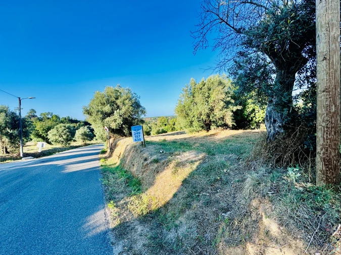 Terreno Agricola ou Rústico para Venda em Paialvo Foto 27