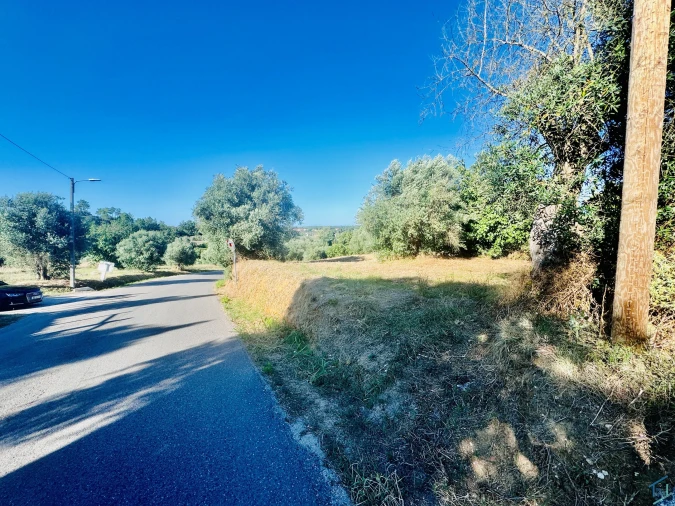 Terreno Agricola ou Rústico para Venda em Paialvo Foto 24