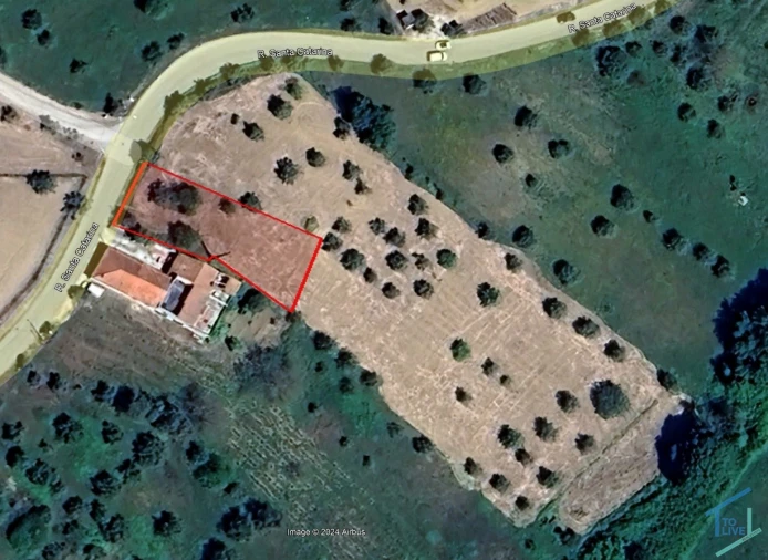 Terreno Agricola ou Rústico para Venda em Paialvo Foto 1