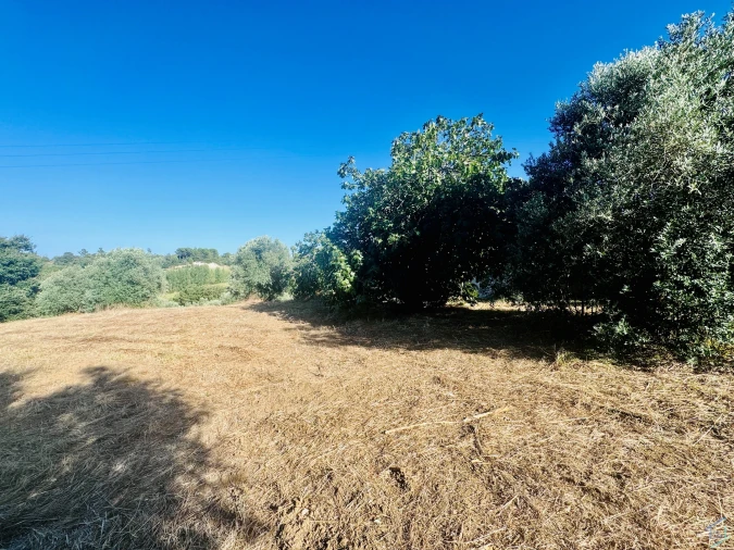 Terreno Agricola ou Rústico para Venda em Paialvo Foto 4