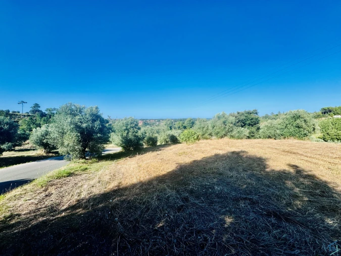Terreno Agricola ou Rústico para Venda em Paialvo Foto 6