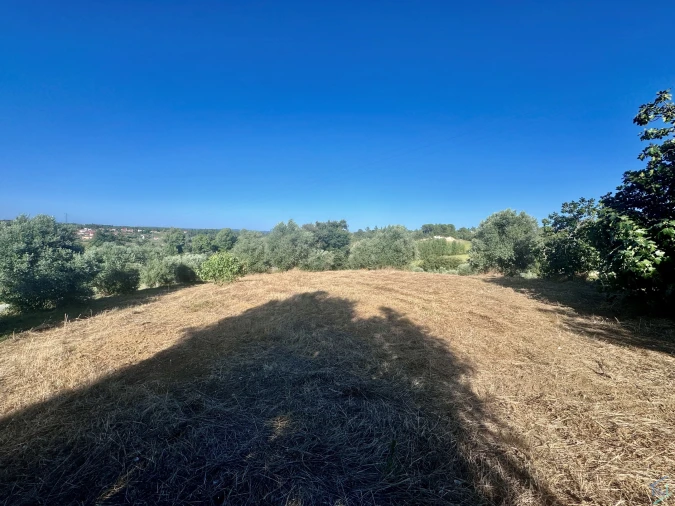 Terreno Agricola ou Rústico para Venda em Paialvo Foto 5